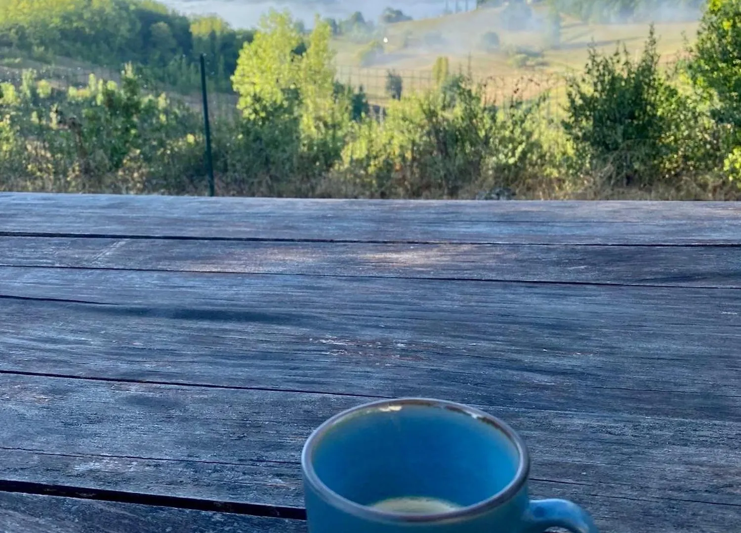 Couette-café B&B La Paillole Cazes-Mondenard